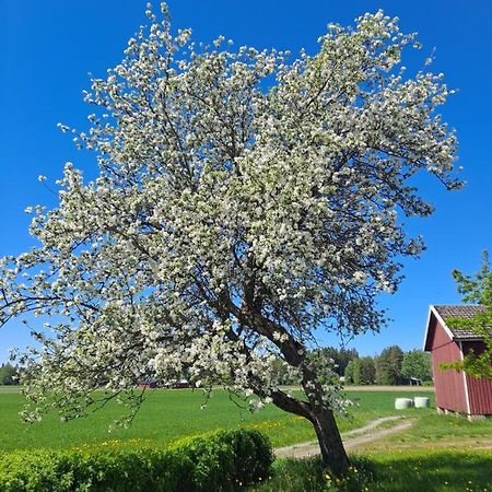 Levomaeki Farm Cottages Ypaja Dış mekan fotoğraf